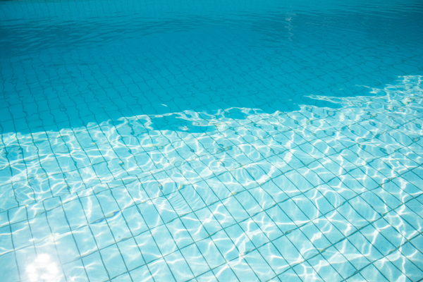 Pool & Spa Safety Screening